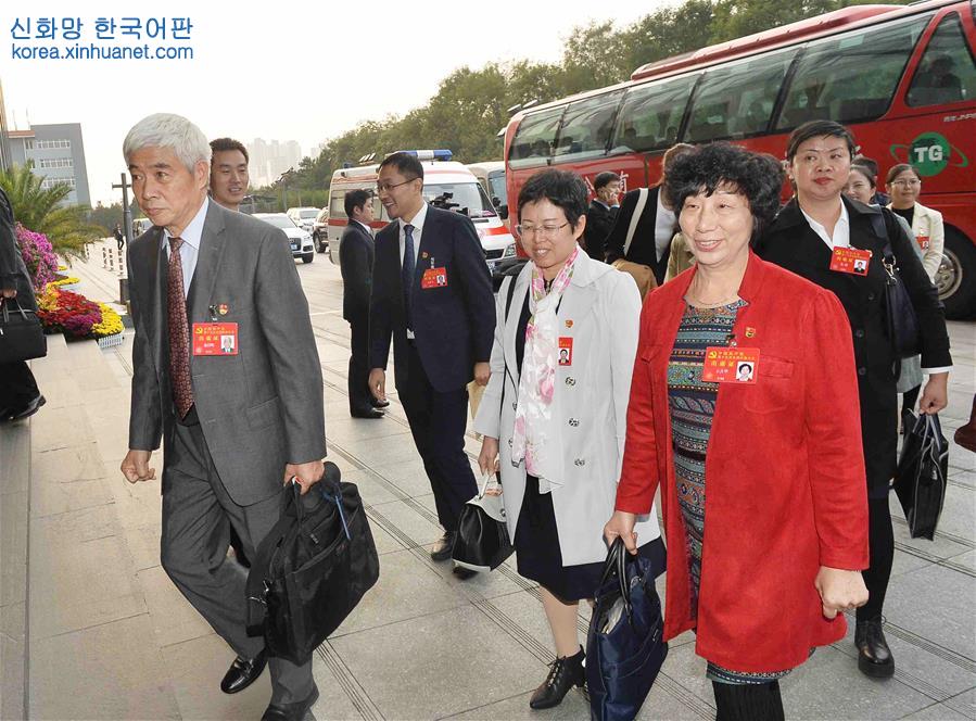 （十九大）出席十九大的天津代表团抵京