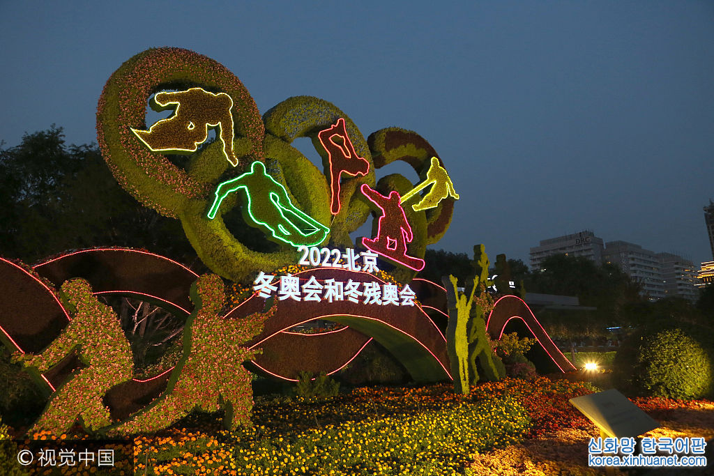 ***_***2017年10月16日夜，北京长安街沿线搭建的主题立体花坛夜景璀璨绚丽，为党的十九大胜利召开，营造了隆重热烈、团结和谐、奋发进取的浓郁氛围。图为东长安街摆放的立体主题花坛。