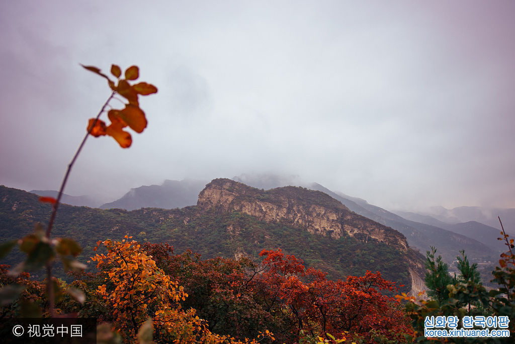***_***2017年10月15日，北京，位于房山境内的坡峰岭景区内，山间的景色三分天下，红黄绿三色错落分布，非常美丽。