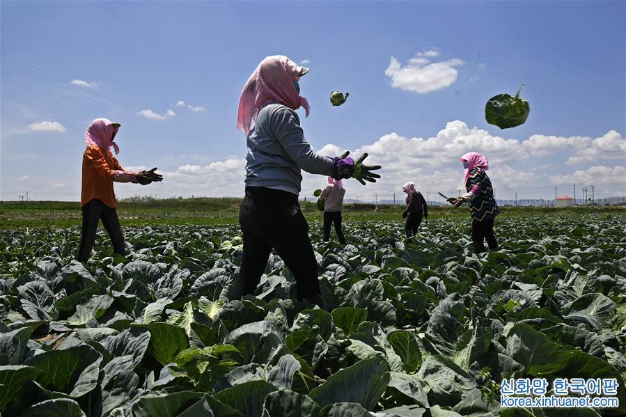 （十九大·读报告 话民生）（16）提高就业质量和人民收入水平