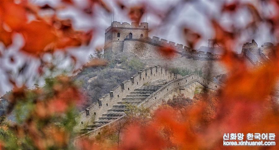 （美丽中国）（2）霜叶染红八达岭