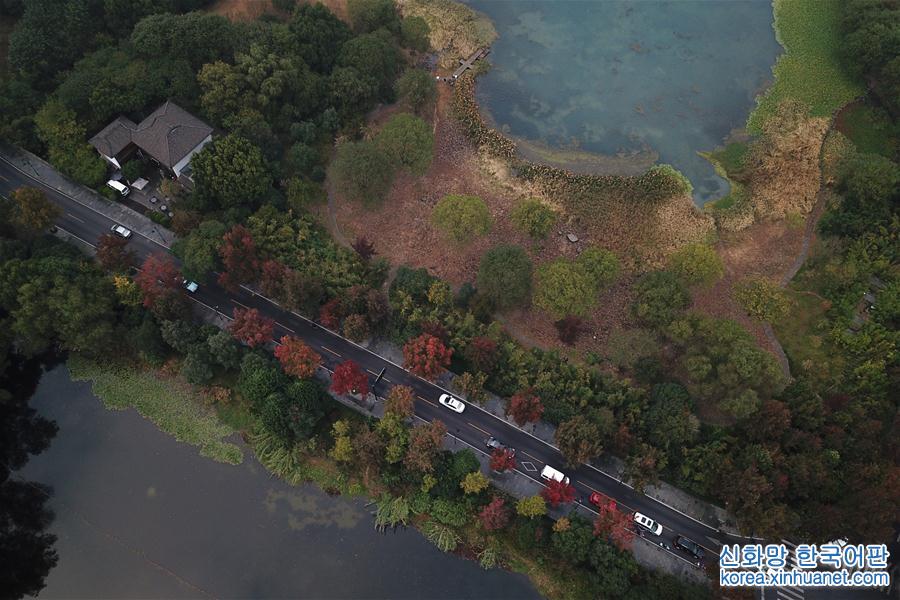 （秋季美麗生態）（1）杭州西湖：多彩的秋意