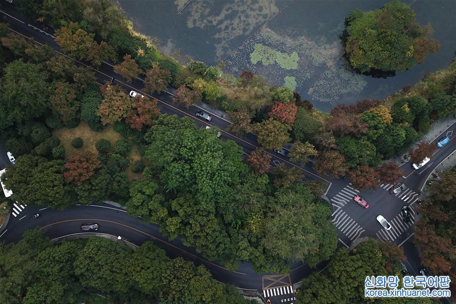 （秋季美丽生态）（2）杭州西湖：多彩的秋意