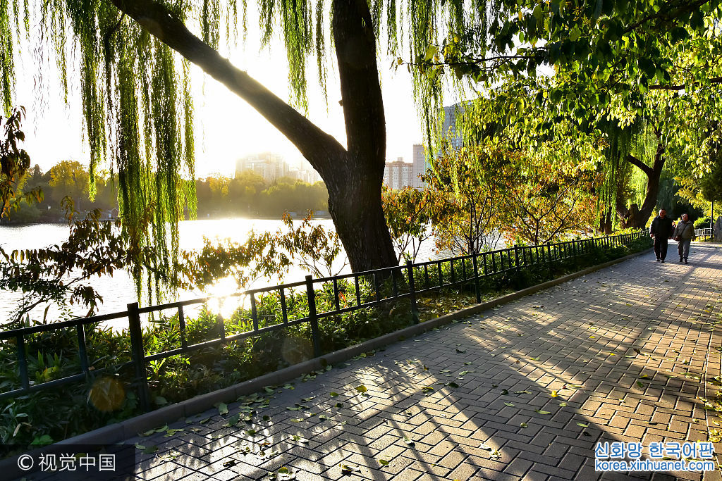 北京紫竹院公园秋色正浓