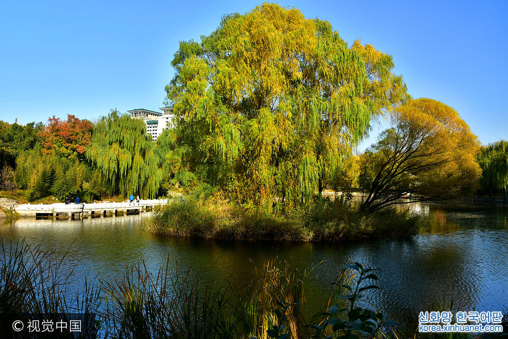 北京紫竹院公园秋色正浓