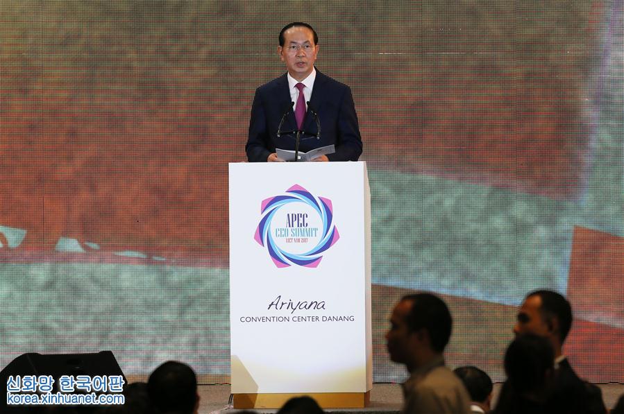 （國際）（2）2017年亞太經合組織工商領導人峰會在越南峴港開幕 
