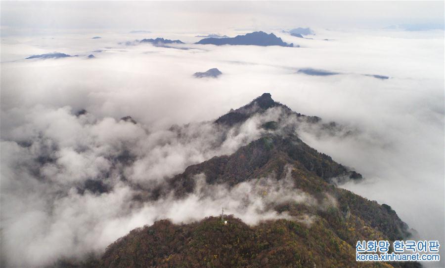 （美丽中国）（1）云雾缭绕南宫山