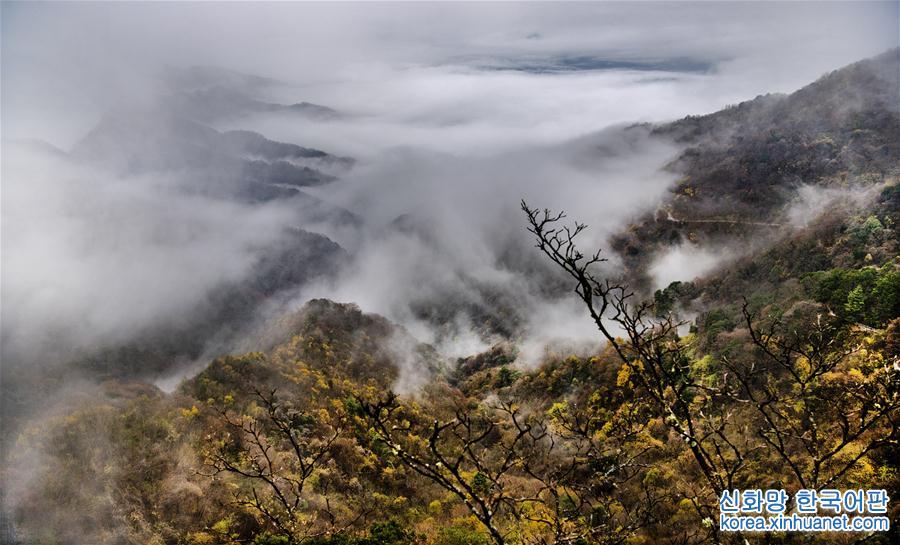 （美丽中国）（3）云雾缭绕南宫山