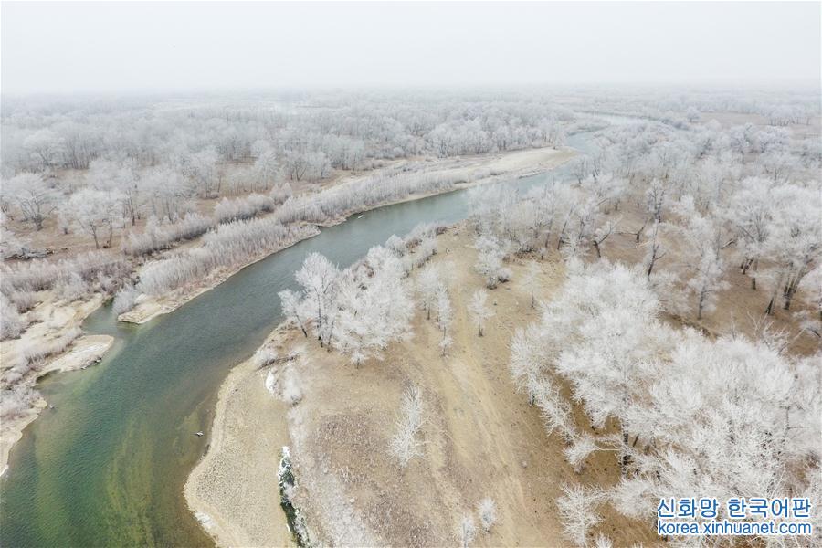 #（生态）（1）新疆额尔齐斯河流域现雾凇景观