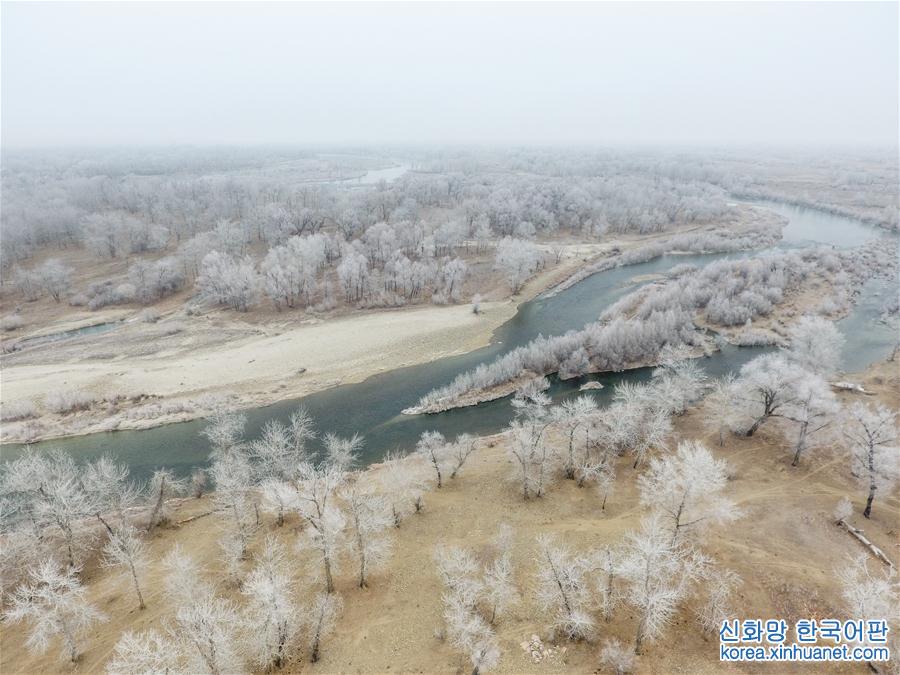 #（生态）（2）新疆额尔齐斯河流域现雾凇景观