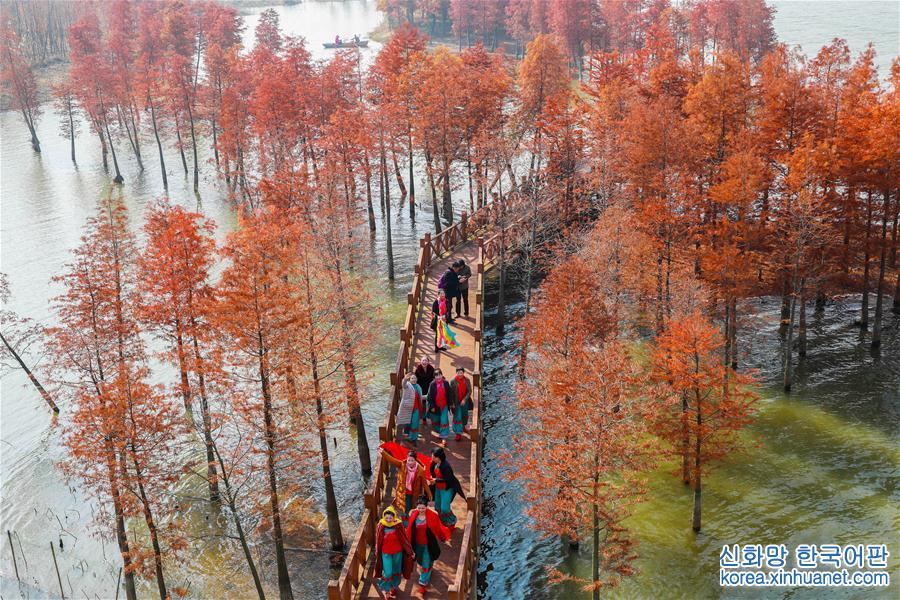 #（美丽中国）（4）水上森林画中游