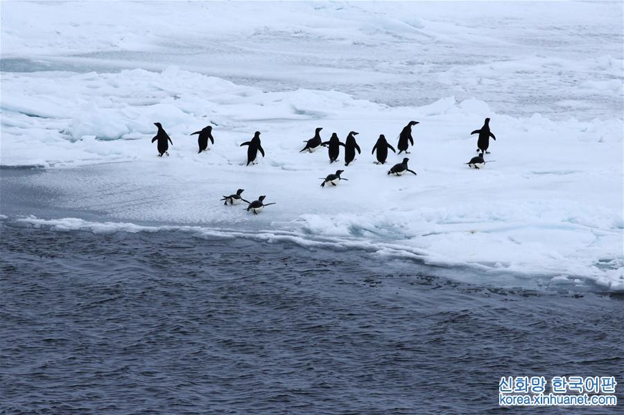 （第34次南極科考）（2）“雪龍”號進入南極