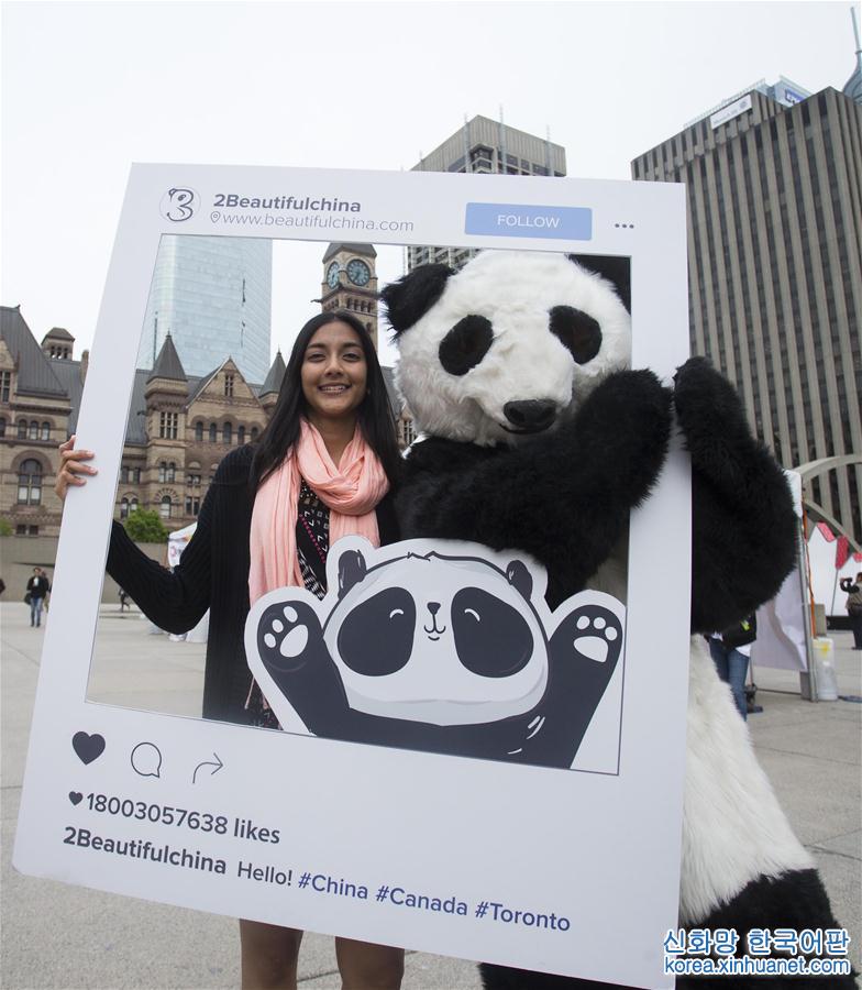 （国际·年终报道）（4）萌动全球的大熊猫