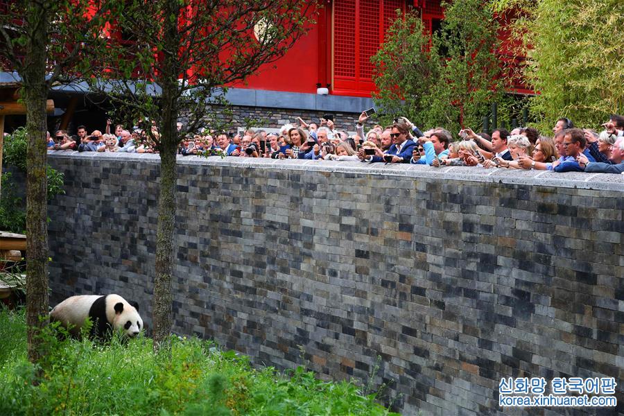 （国际·年终报道）（10）萌动全球的大熊猫