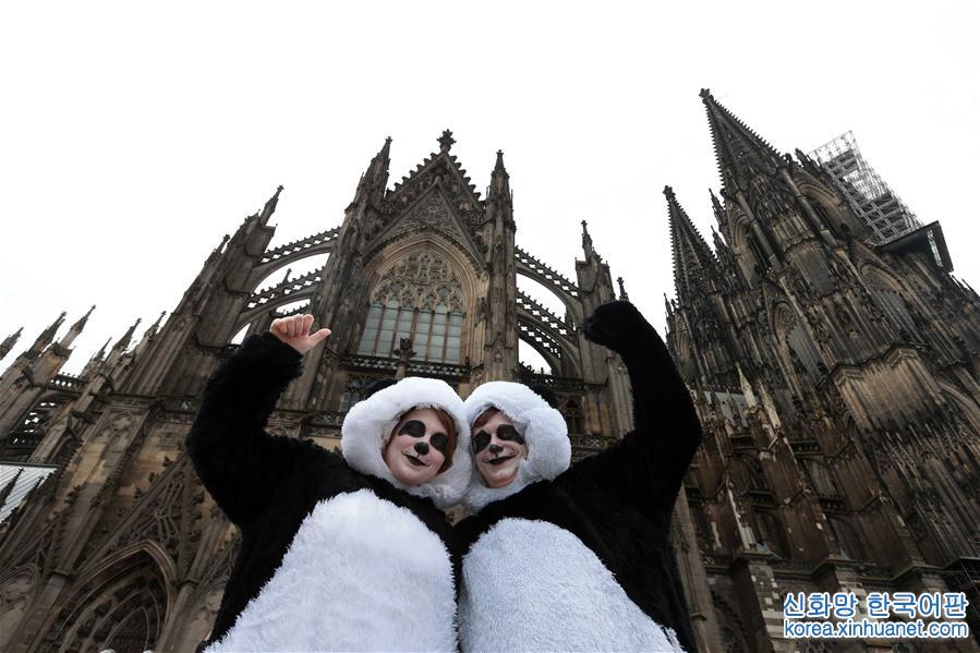 （国际·年终报道）（11）萌动全球的大熊猫