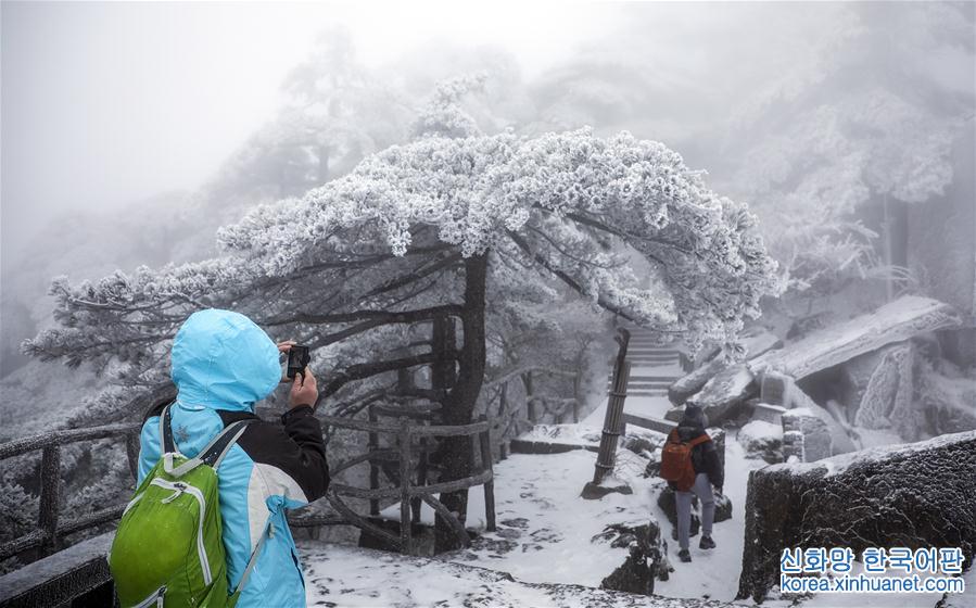 #（环境）（3）安徽黄山迎来今冬首场降雪