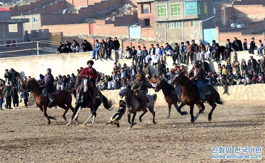 （國際）（4）阿富汗首都舉行“馬背叼羊”大賽
