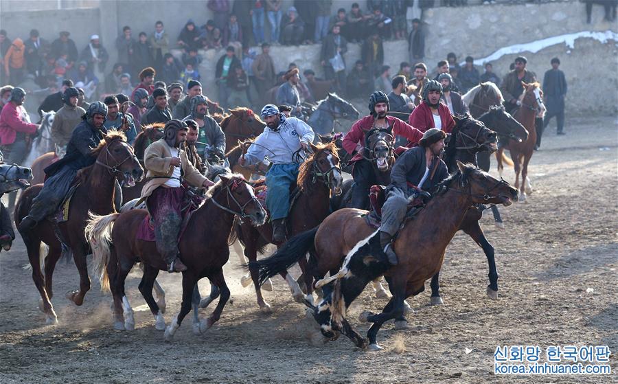 （国际）（5）阿富汗首都举行“马背叼羊”大赛