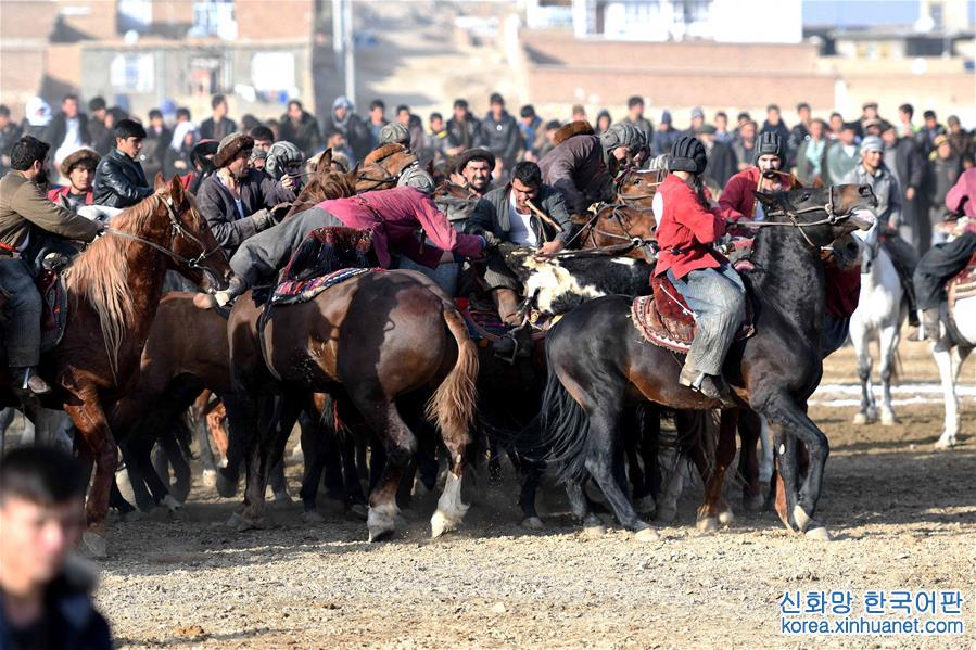 （國際）（7）阿富汗首都舉行“馬背叼羊”大賽