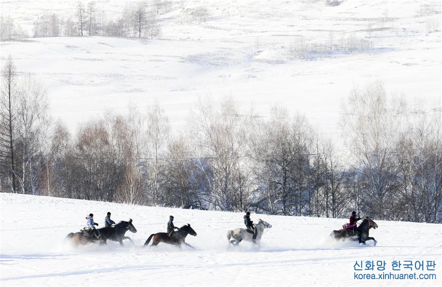 （社会）（2）新疆举行首届禾木国际泼雪节