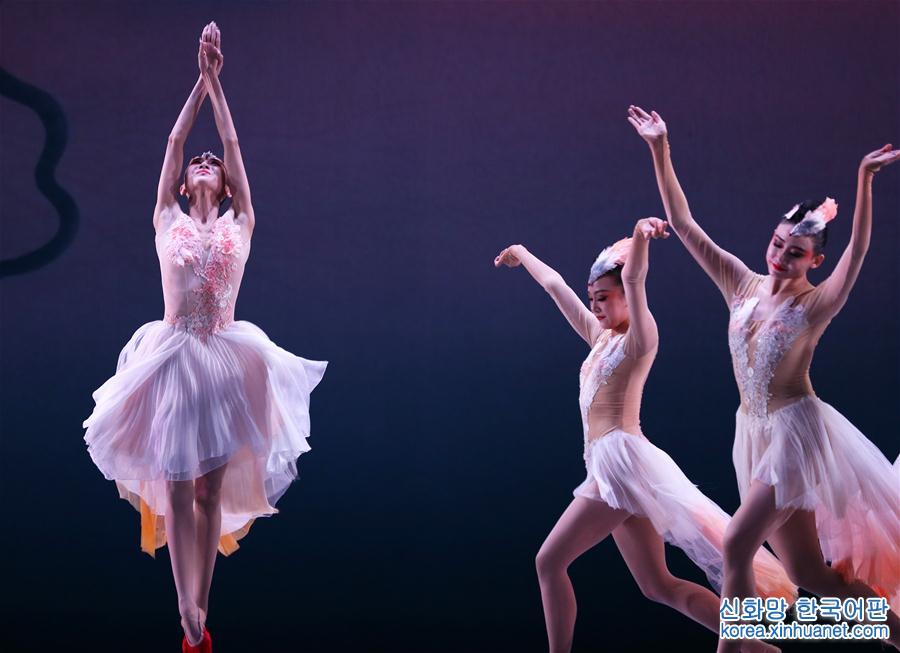 （国际）（5）中国舞剧《朱鹮》亮相纽约林肯中心