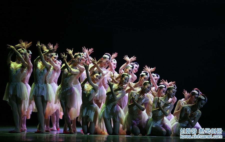 （国际）（6）中国舞剧《朱鹮》亮相纽约林肯中心