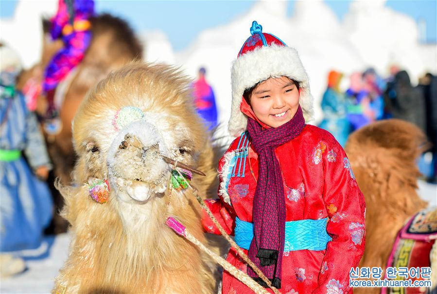 （社会）（4）冰雪草原上的骆驼文化节