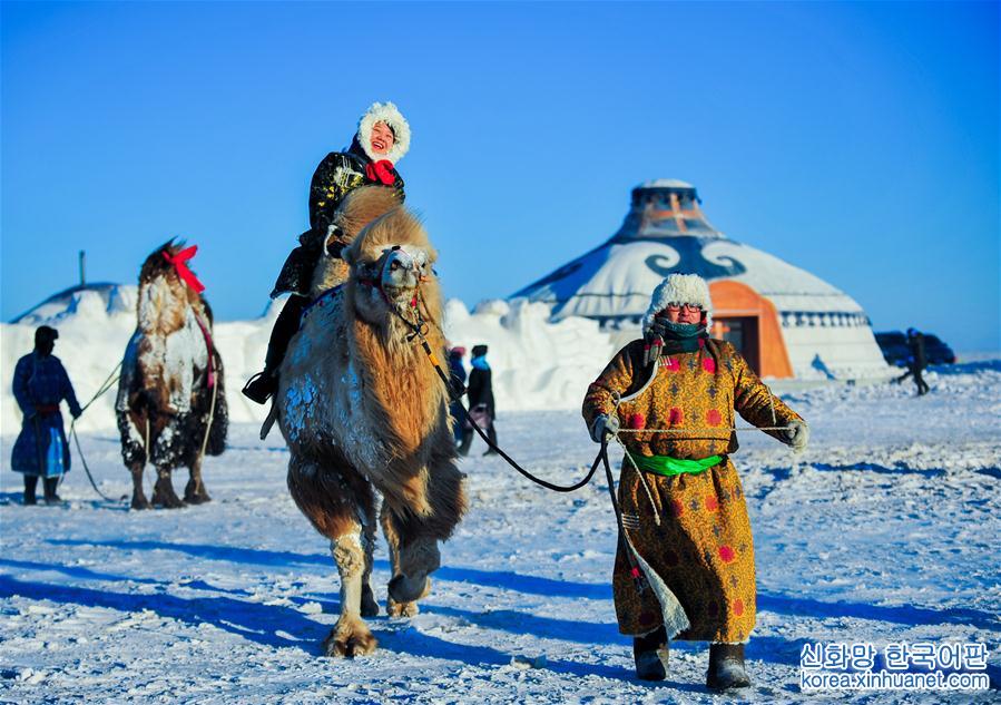 （社会）（5）冰雪草原上的骆驼文化节