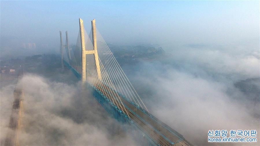 （经济）（2）世界首座双层六线钢桁梁铁路斜拉桥在渝落成