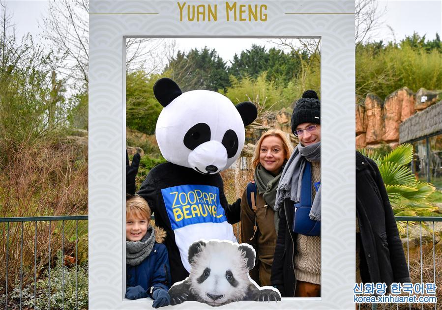 （国际）（2）大熊猫宝宝“圆梦”正式与法国公众见面