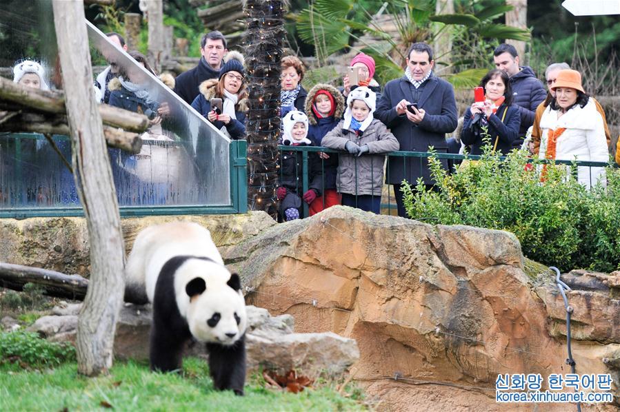 （国际）（5）大熊猫宝宝“圆梦”正式与法国公众见面