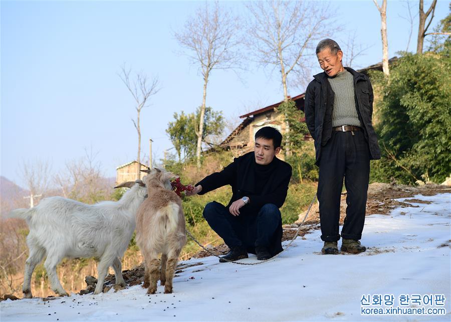 （新时代新气象新作为）（4）山村“羊总管”赵磊的返乡创业路