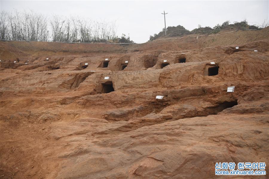 （文化）（2）成都发现大规模汉代崖墓群