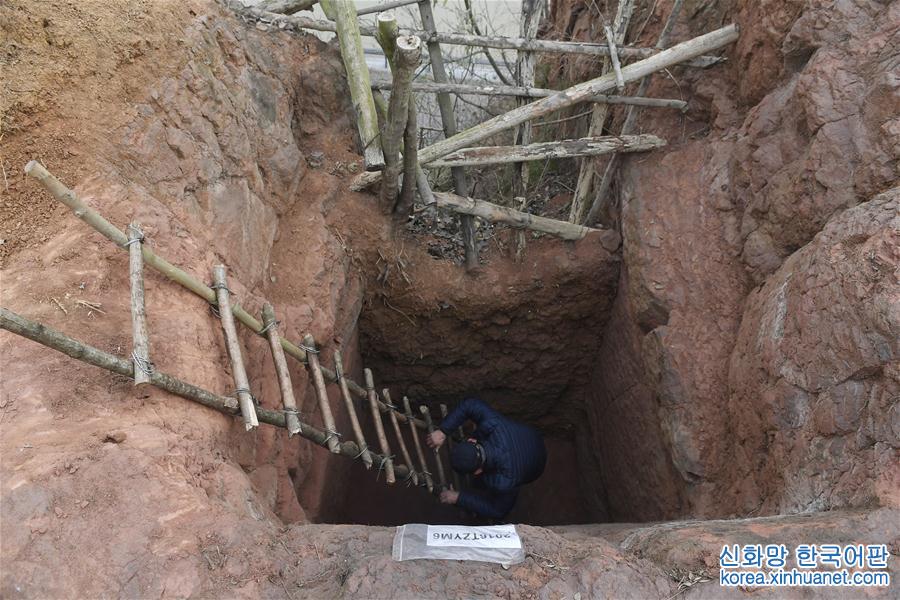 （文化）（4）成都发现大规模汉代崖墓群