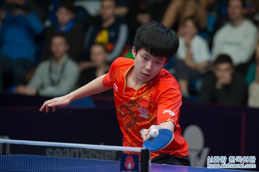 （体育）（10）乒乓球——匈牙利公开赛：樊振东男单夺冠