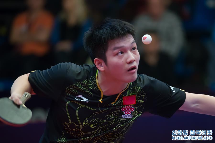 （体育）（8）乒乓球——匈牙利公开赛：樊振东男单夺冠