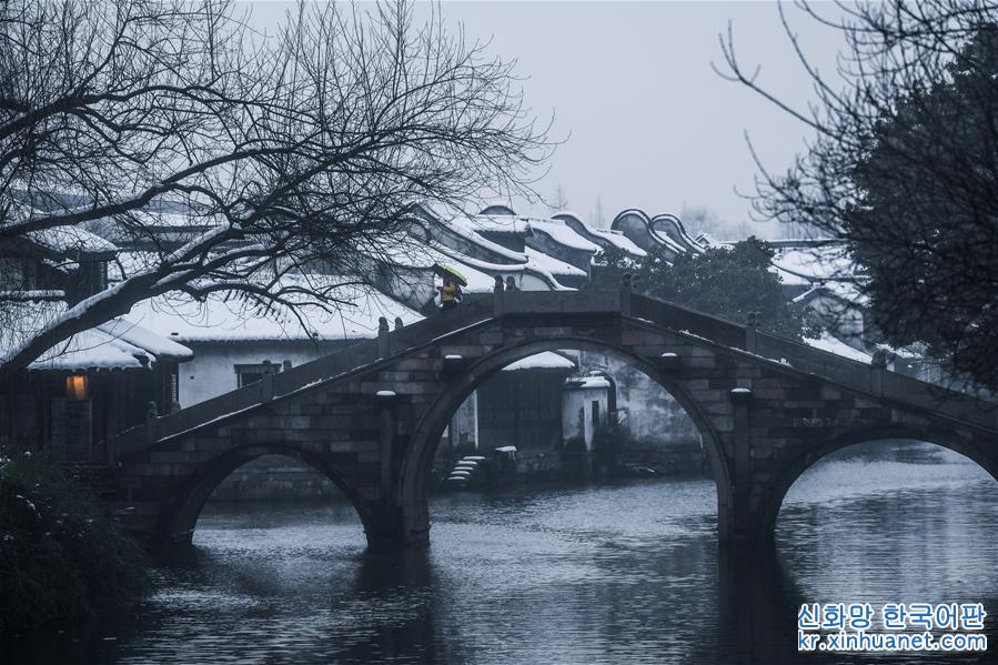 （美丽中国）（3）江南水乡变身“冬日雪乡”