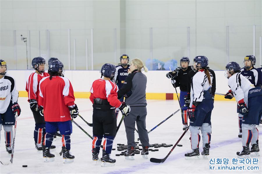 （冬奥会）（3）朝韩女子冰球队首次在韩国联合训练
