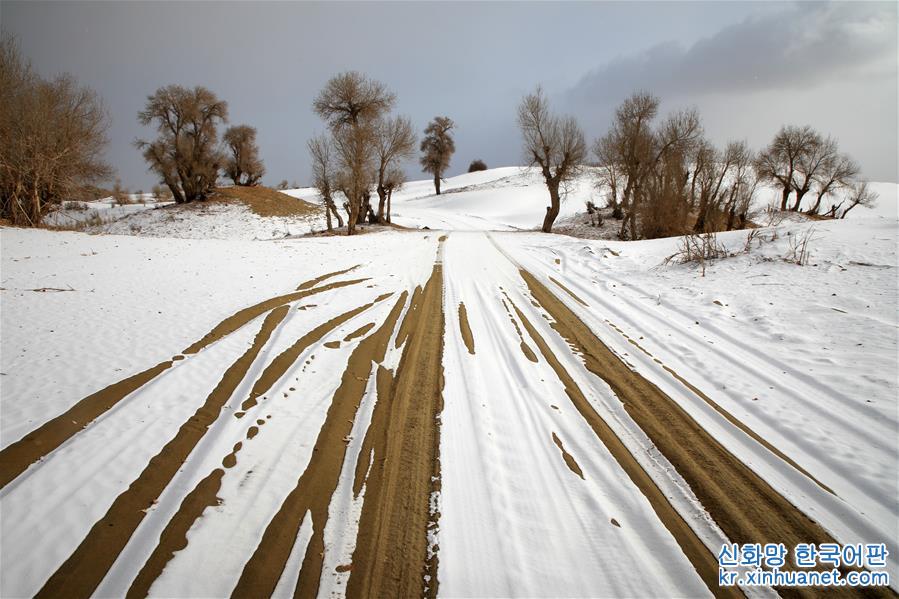 #（环境）（4）塔克拉玛干沙漠雪景如画