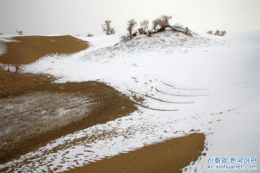 #（环境）（5）塔克拉玛干沙漠雪景如画