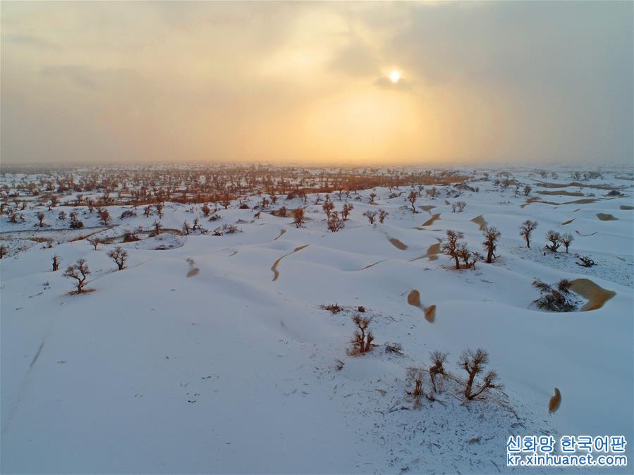 #（环境）（10）塔克拉玛干沙漠雪景如画