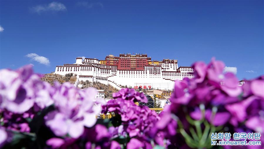 （服务）（1）西藏实行特殊优惠力推“冬游西藏”　布达拉宫等景区免费开放