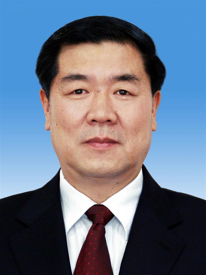 （两会）中国人民政治协商会议第十三届全国委员会副主席何立峰