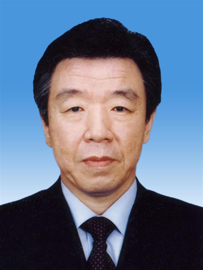 （两会）中国人民政治协商会议第十三届全国委员会副主席卢展工