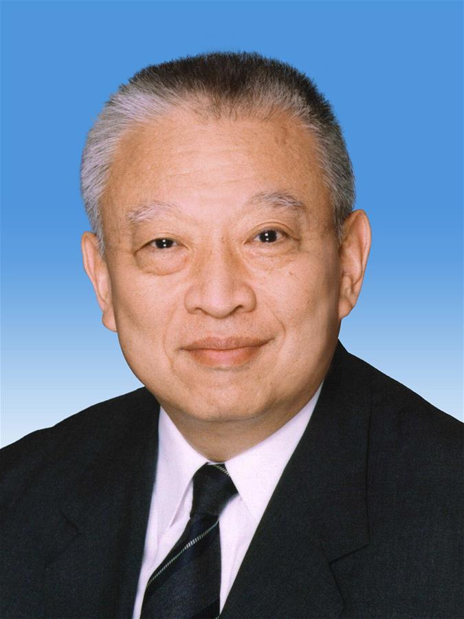 （兩會）中國人民政治協商會議第十三屆全國委員會副主席董建華