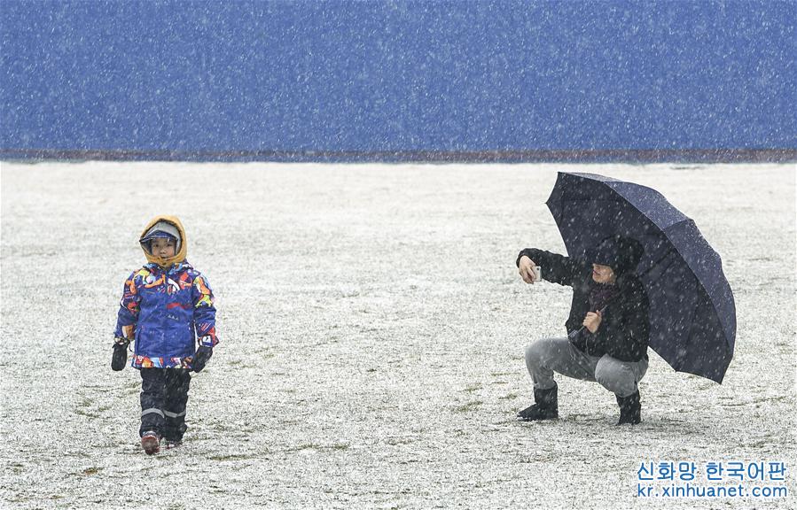 （环境）（3）北京迎来春雪