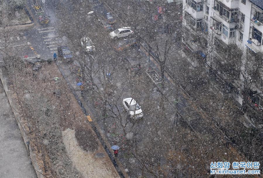 （环境）（6）北京迎来春雪