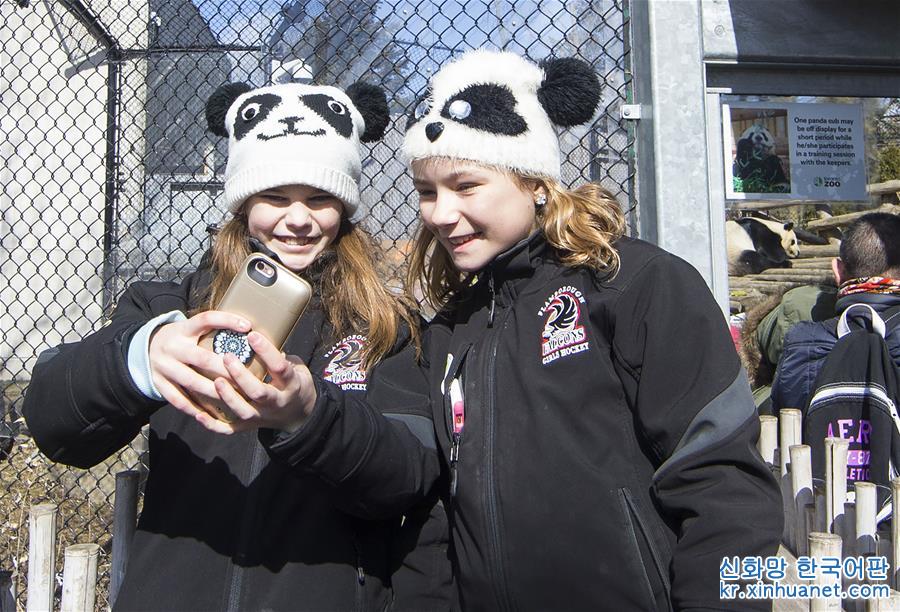 （新华视界）（3）多伦多动物园举行“向大熊猫道别”活动