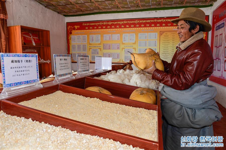 （社会）（1）西藏阿里：牧区改革促脱贫有效推进