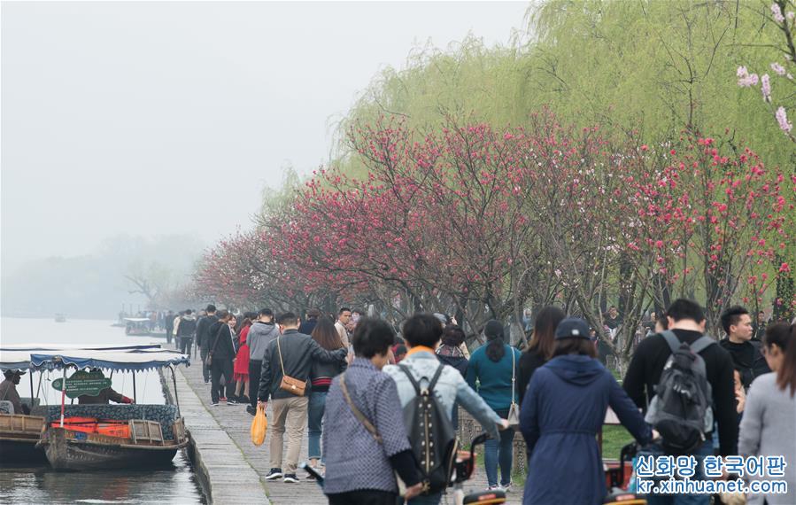 （環境）（2）杭州西湖：桃紅柳綠